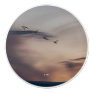 poignée de porte photo oiseaux abstraite