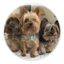 Poignée en Céramique