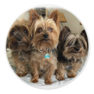 Poignée en Céramique