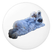 Poignée en Céramique (Devant)