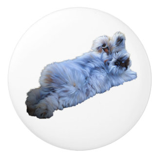 Poignée en Céramique