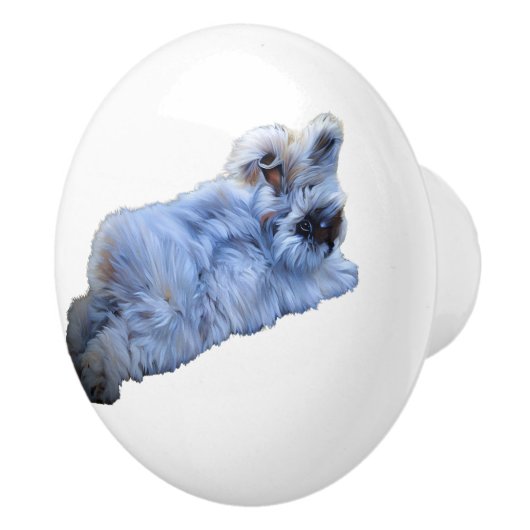 Poignée en Céramique (Droite)