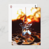 Poignée sur une carte postale étoilée (Devant / Derrière)