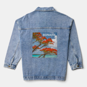 poinciana de Bonaire
