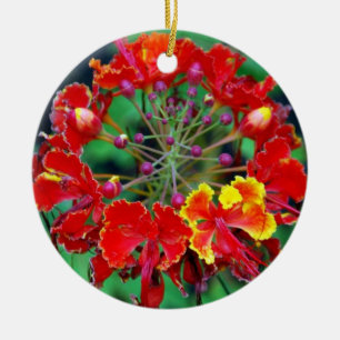 Poinciana (ohai-ali'i) Hawaiian Flower Ornament