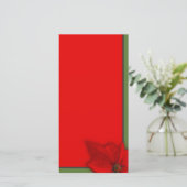 Poinsettia (Staand voorkant)