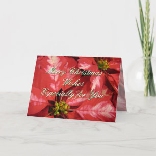 Poinsettia 2 van Kerstmis - pas aan Feestdagen Kaart