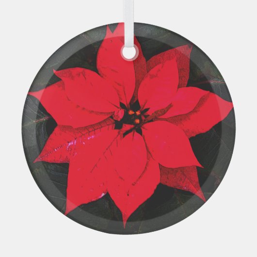 Poinsettia 6078 glas ornament (Voorkant)