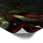 Poinsettia 6078 poster (Hoek)