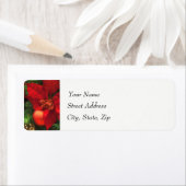 Poinsettia Beauty Return-adreslabel Etiket (Insitu)