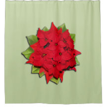 Poinsettia Bloem voor de Feestdagen