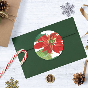  Poinsettia Botanisch Ronde Sticker