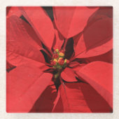Poinsettia Christmas Flower Glazen Onderzetter (Voorkant)