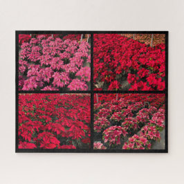 Poinsettia Christmas Greenhouse Red Pink Legpuzzel
