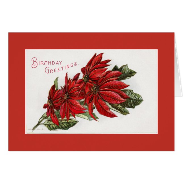 Poinsettia Décembre Carte de voeux Anniversaire (Devant horizontal)