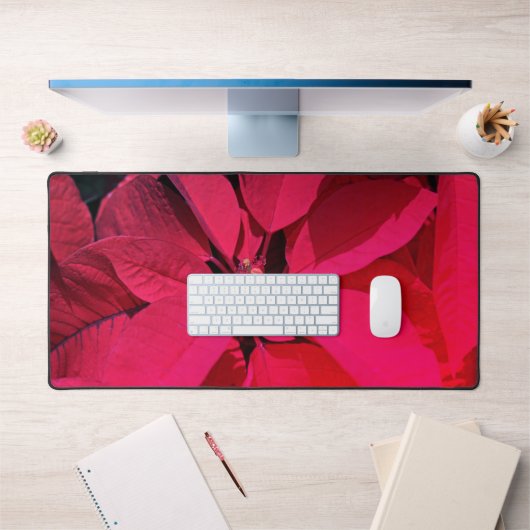 Poinsettia / Décor de Noël (Bureau 1)