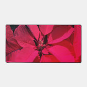 Poinsettia / Décor de Noël (Recto)