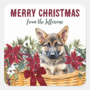 Poinsettia Duitse herder kerstmand Vierkante Sticker