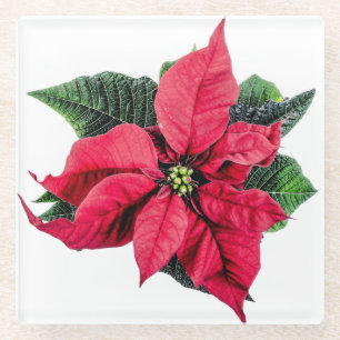 Poinsettia Glazen Onderzetter