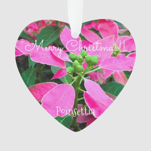 Poinsettia [Heart-shape Ornament] (devant)