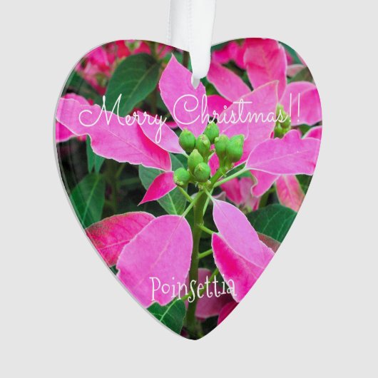 Poinsettia [Heart-shape Ornament] (devant)