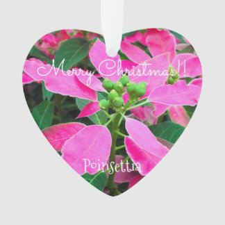Poinsettia [Heart-shape Ornament] Ornament