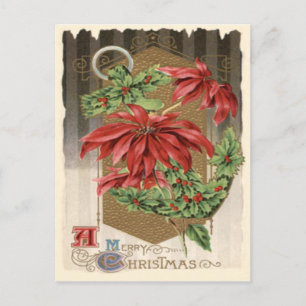 Poinsettia Hulst Anker Scheepvaart Briefkaart