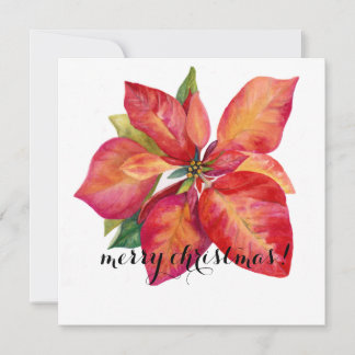 Poinsettia Kerstkaart