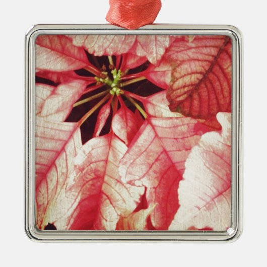 Poinsettia Metalen Ornament (Voorkant)
