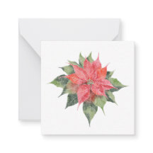  Poinsettia