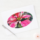 Poinsettia [Oval Seal] Ovale Sticker (Envelop)