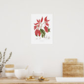 Poinsettia pulcherrima poster (Keuken)