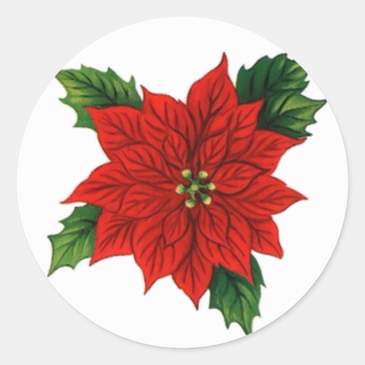 Poinsettia Ronde Sticker (Voorkant)