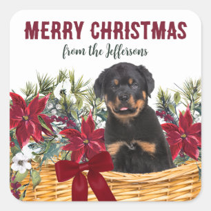 Poinsettia Rottweiler Hondenkerstmand Vierkante Sticker