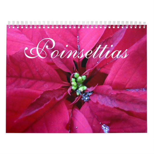 Poinsettias Calendar Kalender (Hoes)