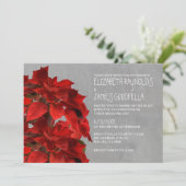 Poinsettias épousant des invitations (Debout devant)