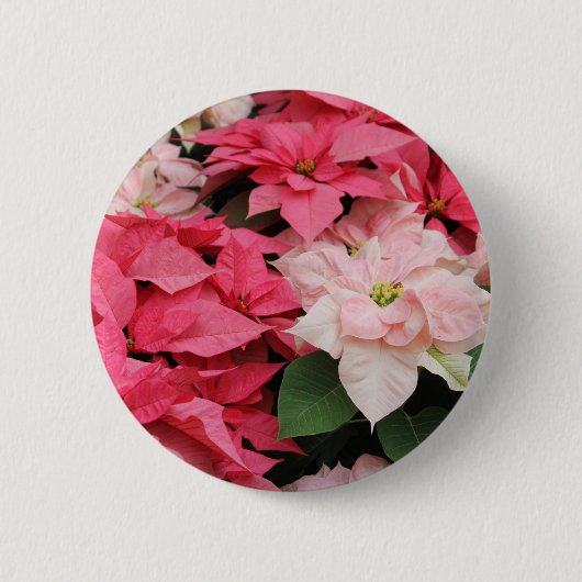  Poinsettias Holiday Button (Voorkant)
