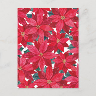 Poinsettias Winter Shelter Briefkaart