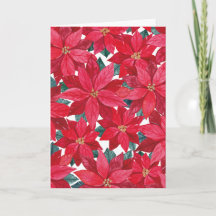 Poinsettia's Winterbescherming 