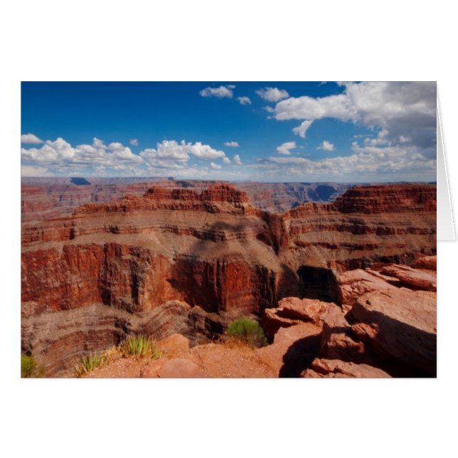 Point d'aigle (Devant horizontal)