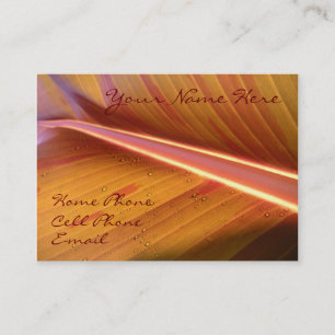 Point de carte légère de profil