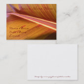 Point de carte légère de profil (Devant / Derrière)