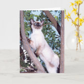 Point de phoque Carte de voeux Siamese (Fleur jaune)