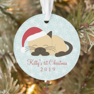 Point de photo de chat de Noël