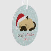 Point de photo de chat de Noël (devant)