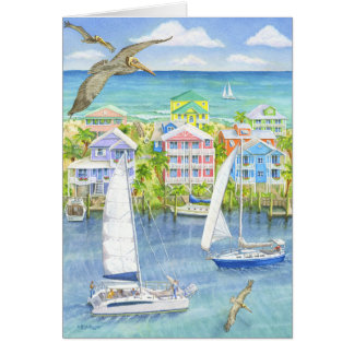 Point de vue de pélican