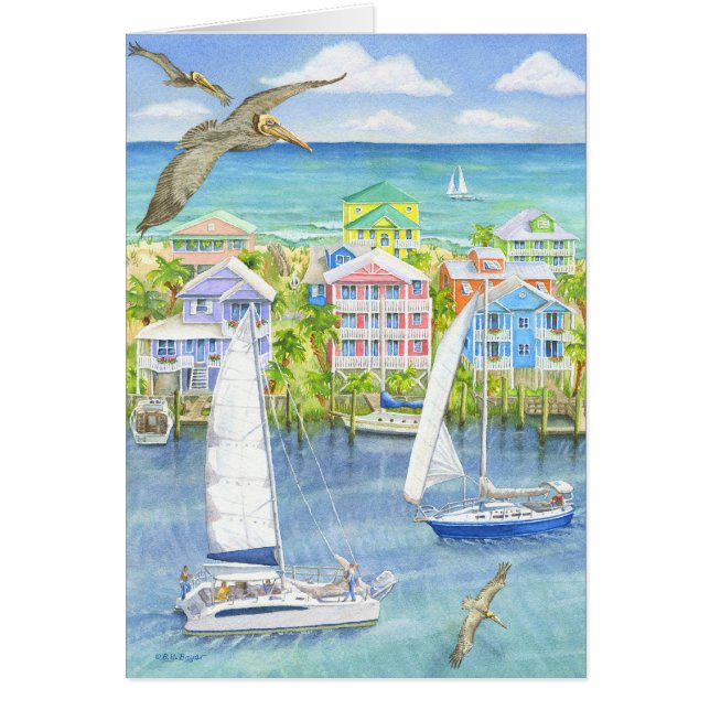 Point de vue de pélican (Devant)