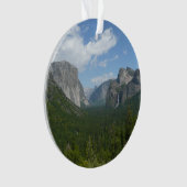 Point d'Inspiration dans le Parc National de Yosem (devant)