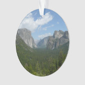 Point d'Inspiration dans le Parc National de Yosem (devant)