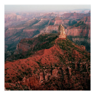 Point Imperial en Mount Hayden op Sunset Perfect Poster